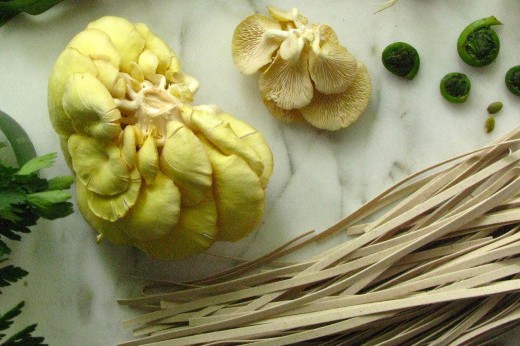 Dried pasta, ramps, mushrooms, and other ingredients on a marbled countertop.