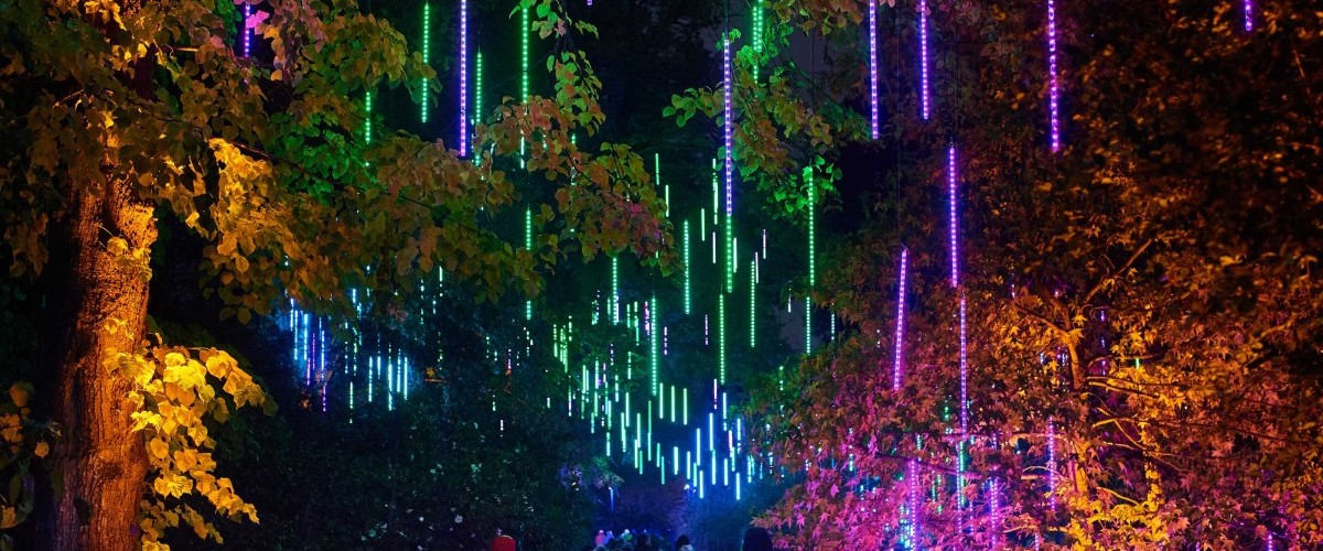 At night, people walk through color-splashed trees among hanging lightsticks.